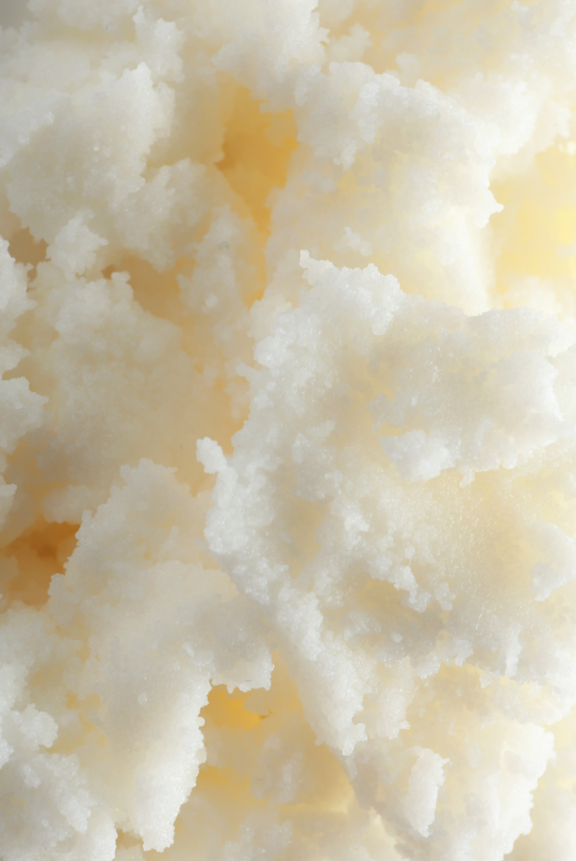 Raíz de rhodiola, un adaptógeno natural conocido por reducir el estrés y aumentar la energía.