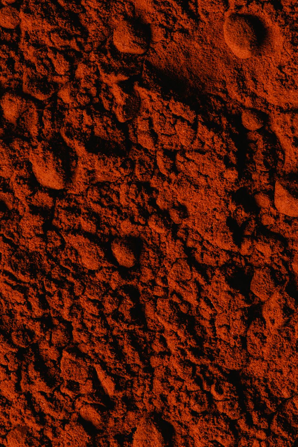 Raíz de rhodiola, un adaptógeno natural conocido por reducir el estrés y aumentar la energía.