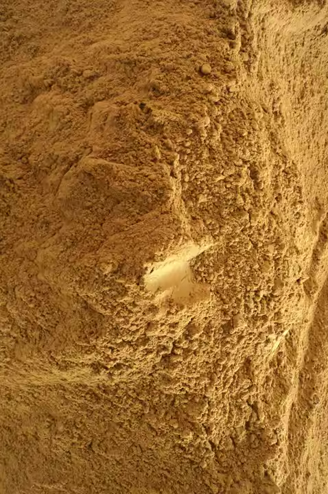 Raíz de rhodiola, un adaptógeno natural conocido por reducir el estrés y aumentar la energía.