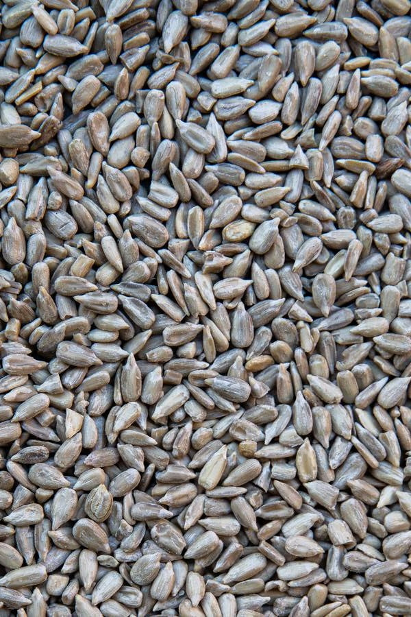Raíz de rhodiola, un adaptógeno natural conocido por reducir el estrés y aumentar la energía.