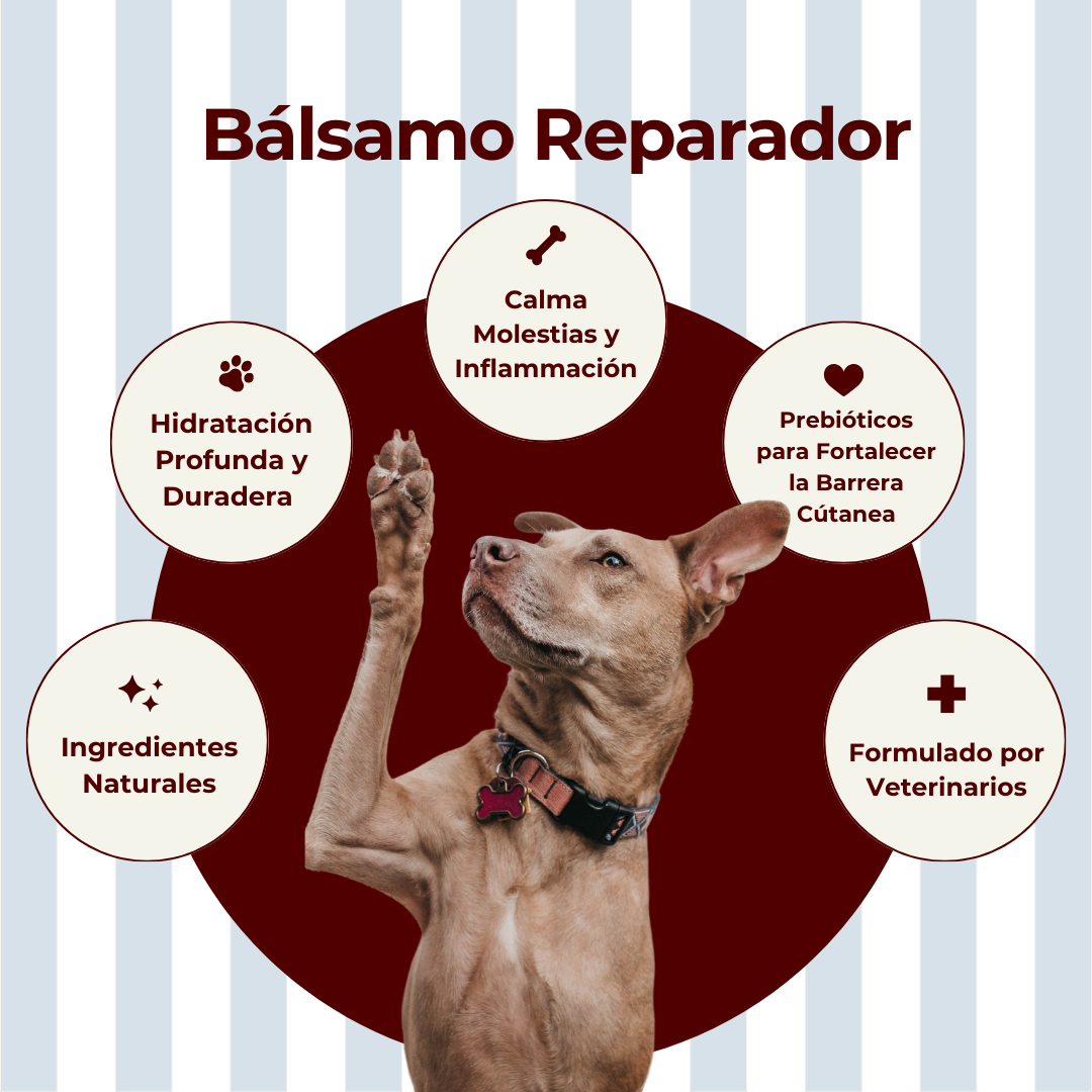 Bálsamo