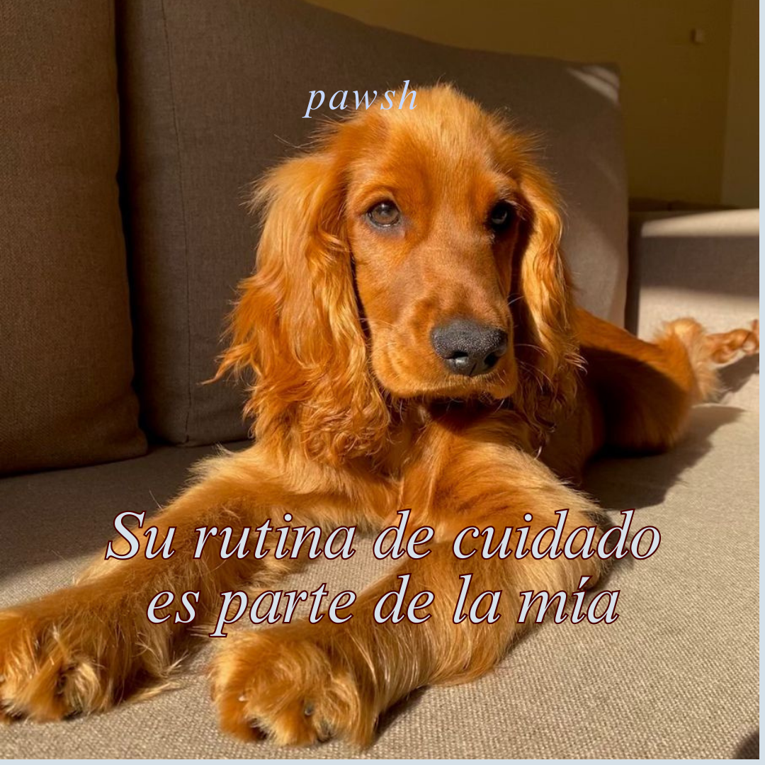 Bálsamo