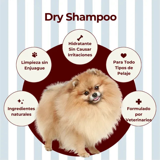 Dry Shampoo