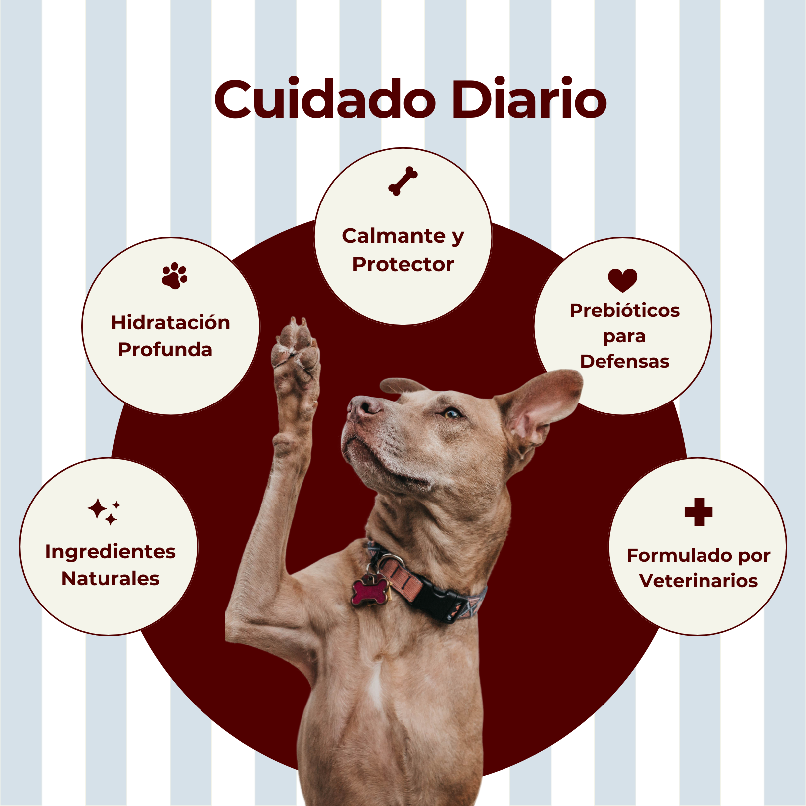 Rutina Cuidado