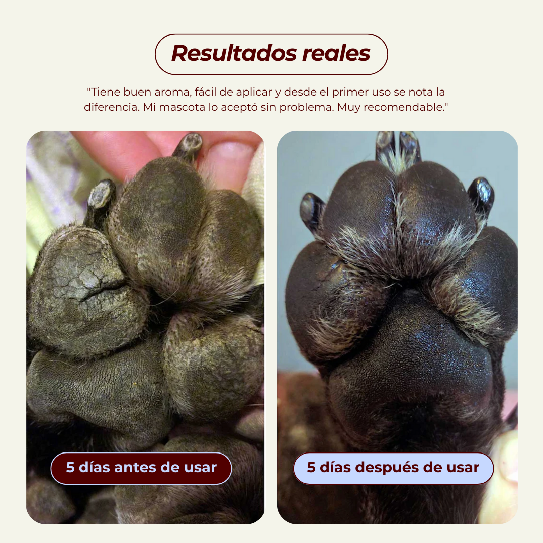 Bálsamo