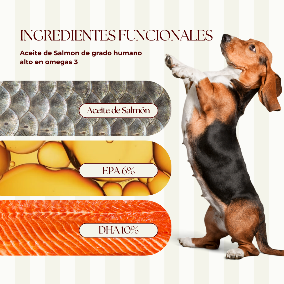 Aceite de Salmón.