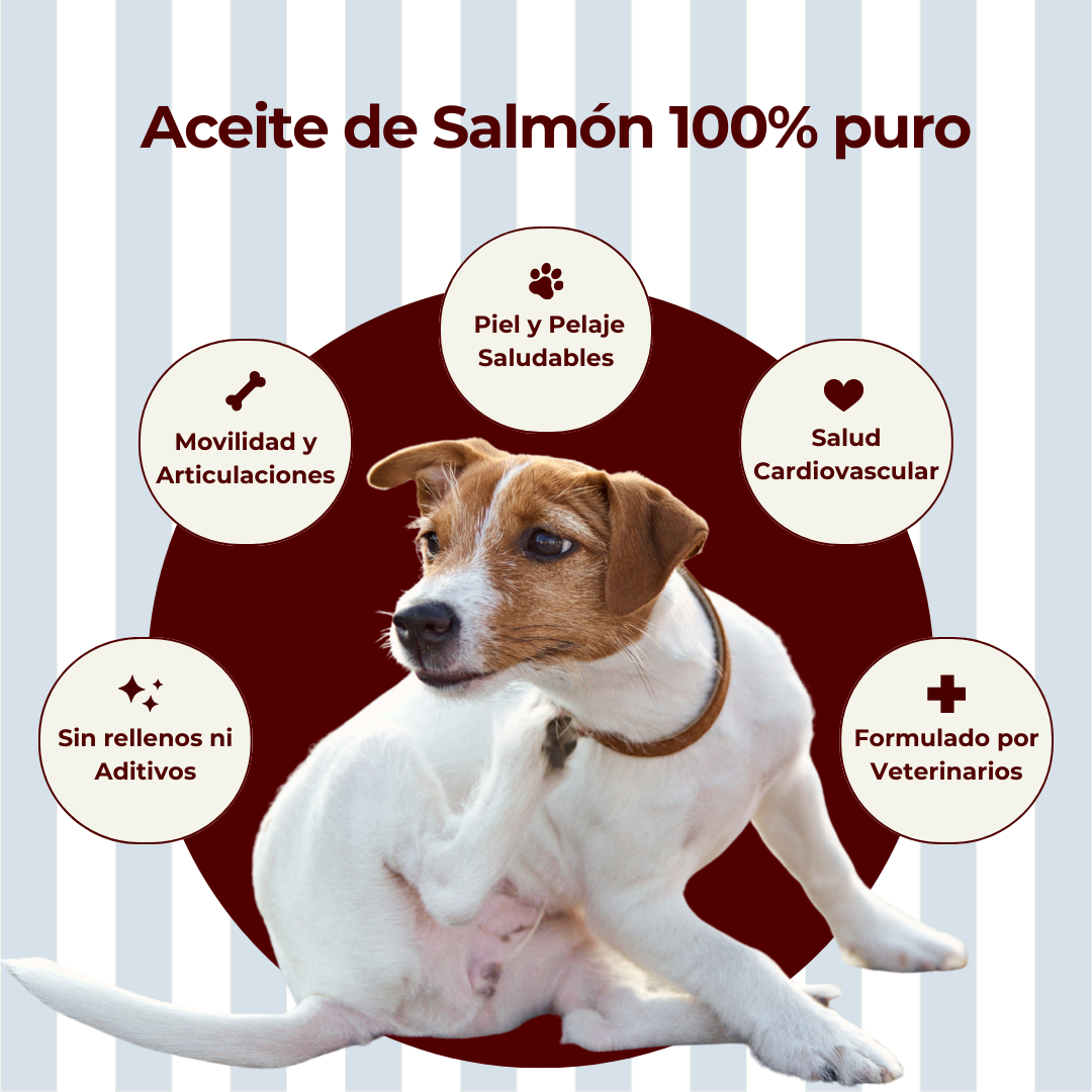 Aceite de Salmón.