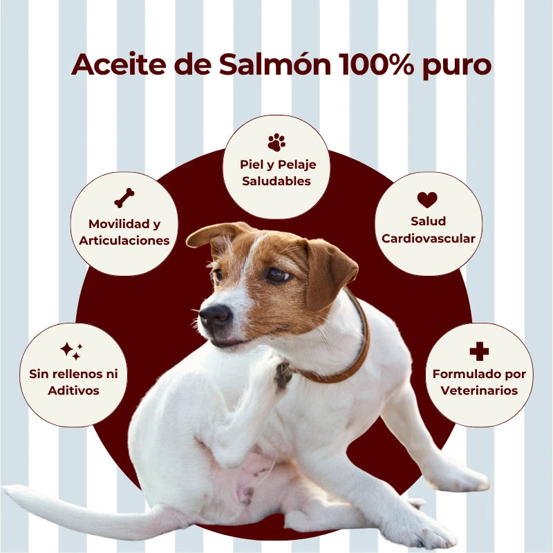 Aceite de Salmón