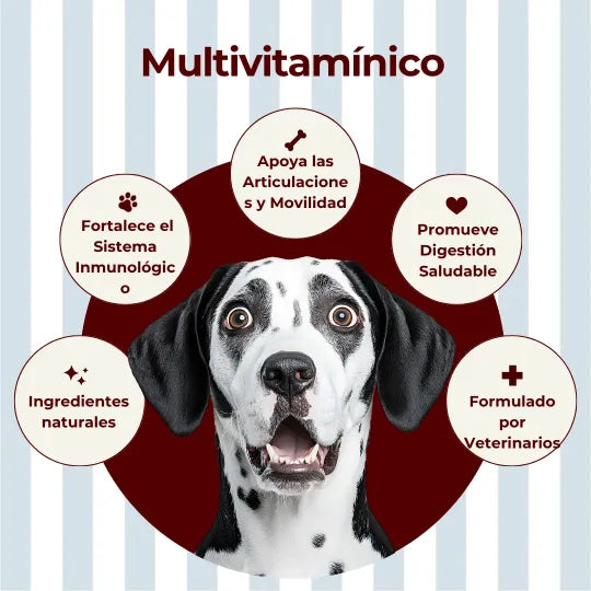 Multi Vitamina