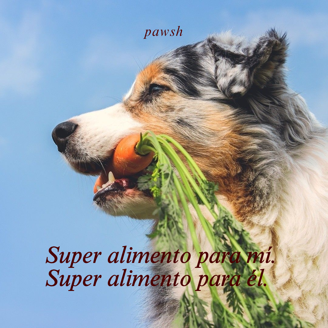 Multi Vitamina