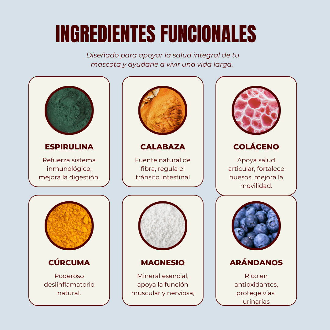 Multi Vitamina