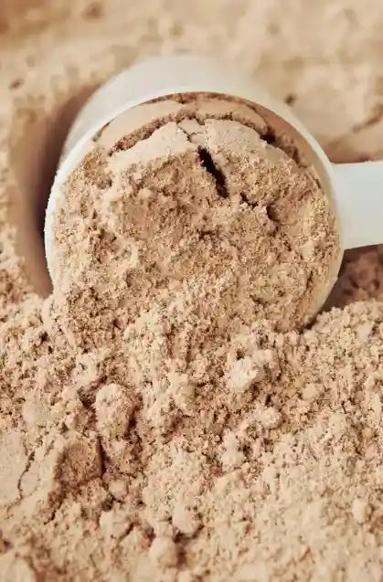 Raíz de rhodiola, un adaptógeno natural conocido por reducir el estrés y aumentar la energía.