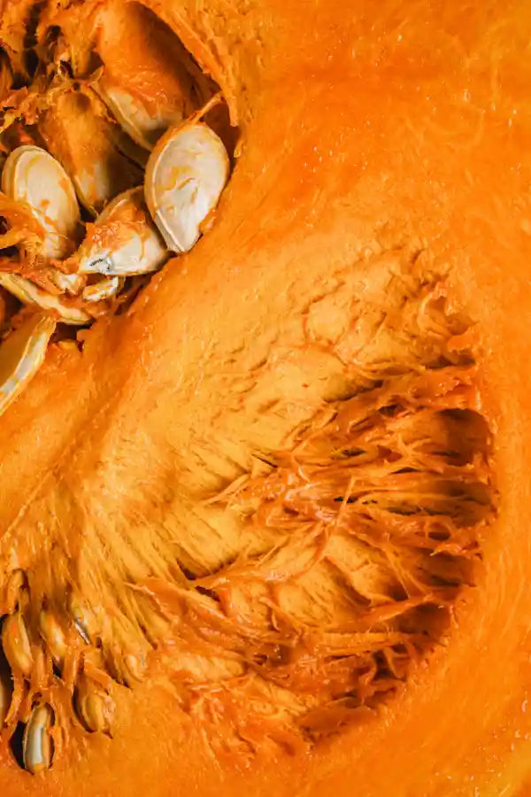 Raíz de rhodiola, un adaptógeno natural conocido por reducir el estrés y aumentar la energía.