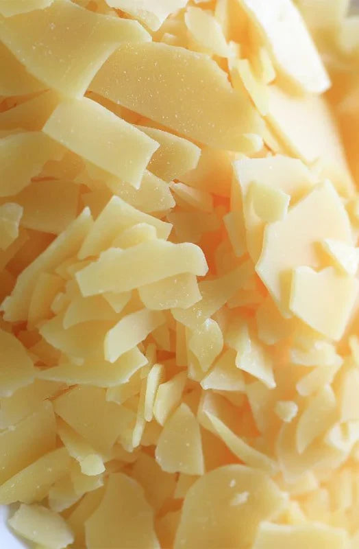 Raíz de rhodiola, un adaptógeno natural conocido por reducir el estrés y aumentar la energía.