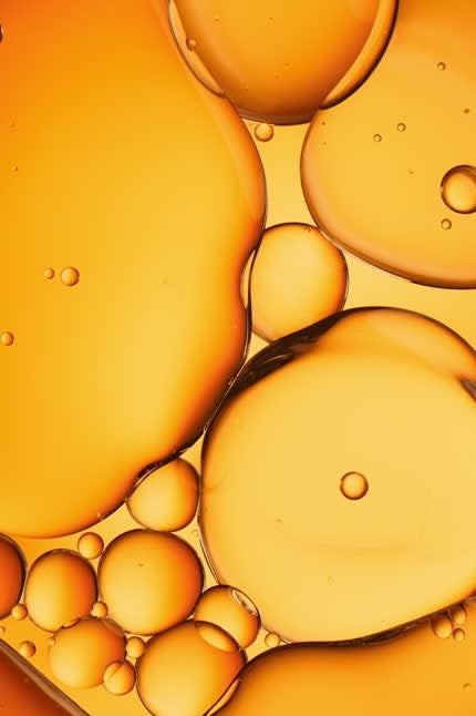 Raíz de rhodiola, un adaptógeno natural conocido por reducir el estrés y aumentar la energía.