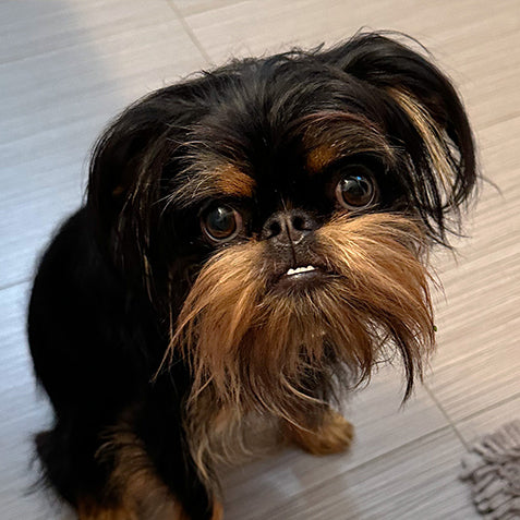 Reseña de cliente para un nootropico natural