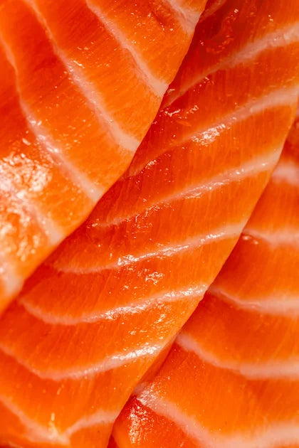 Raíz de rhodiola, un adaptógeno natural conocido por reducir el estrés y aumentar la energía.